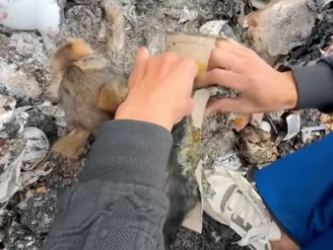 R1302007 This rescue brought relief (Part 2)