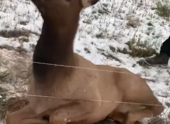 R1302020 Help came quietly but powerfully (Part 2)