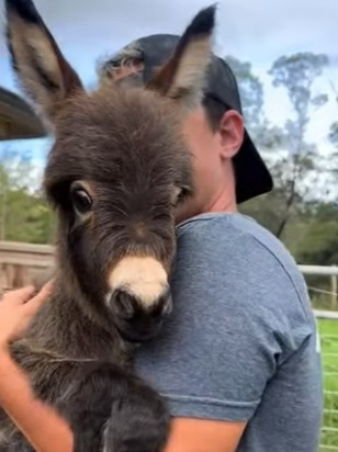 R1322024 Rescata al burrito (Parte 2)