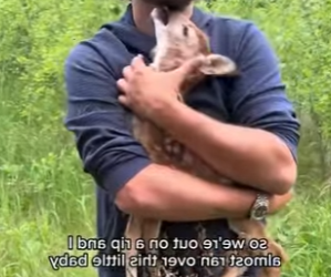 R1322020 Rescata al ciervo (Parte 2)