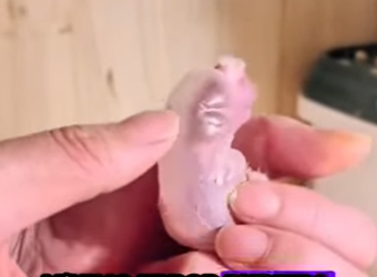 R1322016 Hámster rescatado (Parte 2)