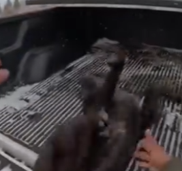 O0202006 De la confusion a la seguridad (Parte 2)