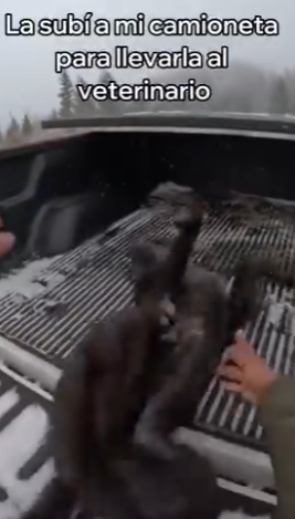 O0202006 De la confusion a la seguridad (Parte 2)