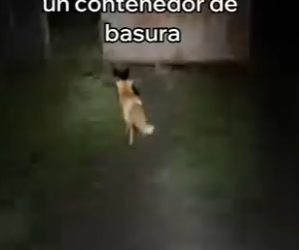 O0202002 La ayuda llego antes de que fuera tarde (Parte 2)