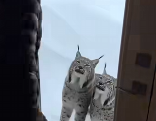 From fragile to protected (Part 2)