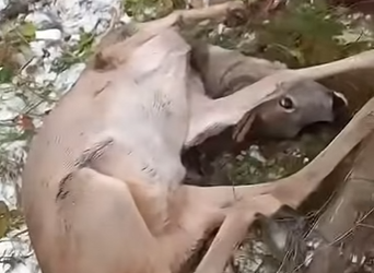 I1002007 Not all heroes wear capes (Part 2)