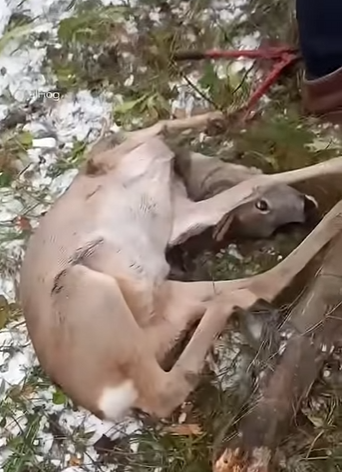 I1002007 Not all heroes wear capes (Part 2)