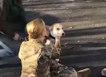 I1002009 Dog leaps into owner arms when he realizes she finally home again (Part 2)