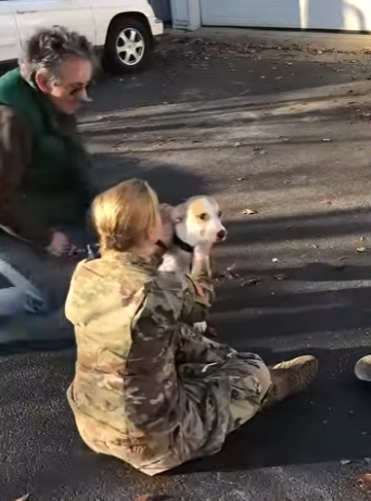 I1002009 Dog leaps into owner arms when he realizes she finally home again (Part 2)