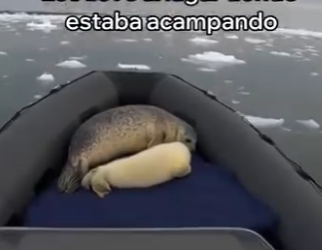 O0202001 Una vida fue protegida a tiempo (Parte 2)