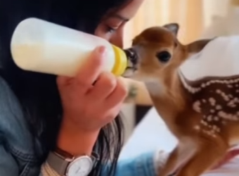 F2901010 Where love goes, safety follows (Part 2)