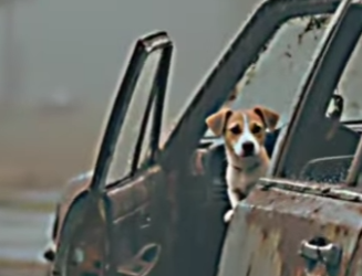 V1302019 Estos hermanos fueron separados (Parte 2)