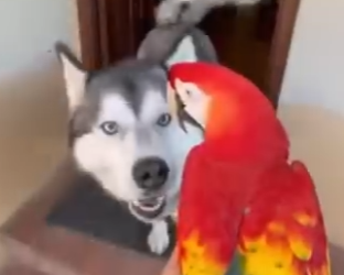 O0202012 Del miedo al descanso (Parte 2)