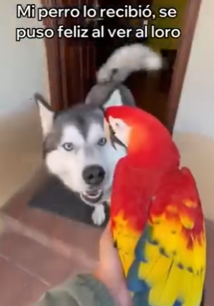 O0202012 Del miedo al descanso (Parte 2)