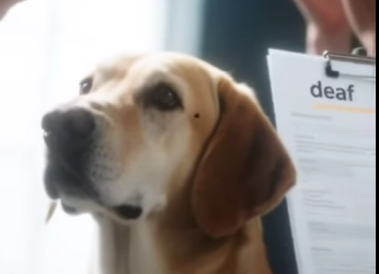 V1302015 siempre llega la persona correcta (Parte 2)