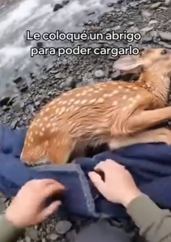 O0202008 El rescate trajo alivio (Parte 2)