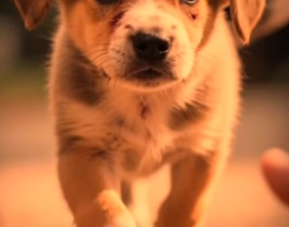 V1302023 cuando alguien los quiere de verdad los cambia por completo (Parte 2)