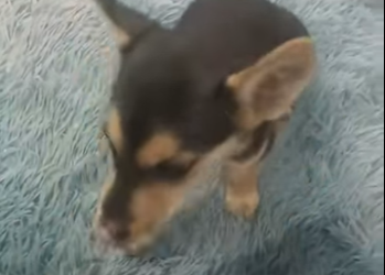 V1302011 la nena (Part 2)