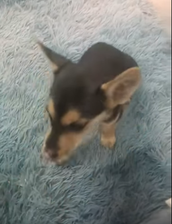 V1302011 la nena (Part 2)