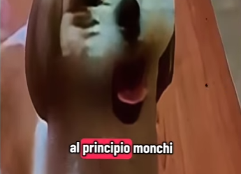 V1802010 viviendo con un tuM0r gigante en la cabeza (Parte 2)