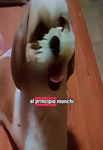 V1802010 viviendo con un tuM0r gigante en la cabeza (Parte 2)