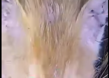 V1802007 duro más de días en un hueco (Parte 2)