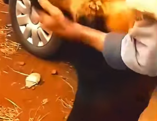 V1802015 ellos nunca olvidan (Parte 2)