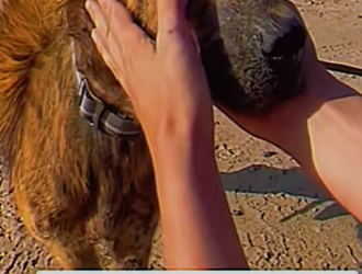 V1802006 un final feliz (Parte 2)