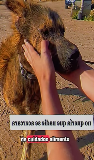 V1802006 un final feliz (Parte 2)