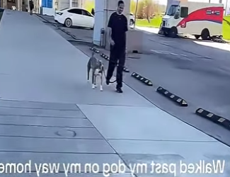 V1802005 Este perrito se reencuentra con su dueña después de varios meses (Parte 2)