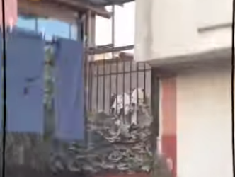 V1802011 pensaron que los habían abandonado (Parte 2)