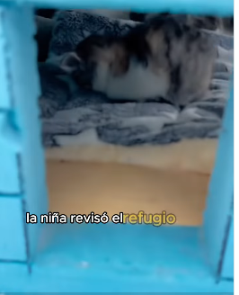 A0202004 La ayuda llego cuando mas se necesitaba (Parte 2)