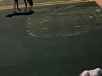 V1802021 su dueño lo salvo (Parte 2)