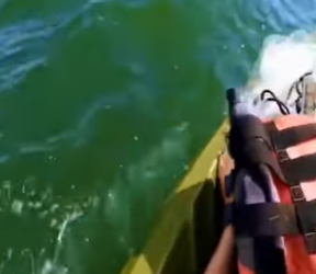 V1802028 lucho hasta ser rescatado (Parte 2)