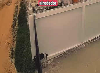 V1802017 nadie quería ayudarlo hasta que paso ésto (Parte 2)