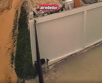 V1802017 nadie quería ayudarlo hasta que paso ésto (Parte 2)