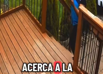 V1802023 Esta repartidora se lleva un susto (Parte 2)