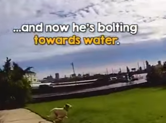 I0102009 Cop drops uniform to save injured stray in (Part 2)