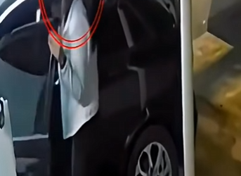 V1802025 Perro callejero, entra la casa de un rottweiler (Parte 2)