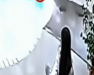 V1802019 la dueña no dudo en saltar salvar su cachorro (Part 2)