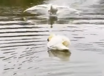 I0202001 moment he sees her, he comes flying through th (Part 2)