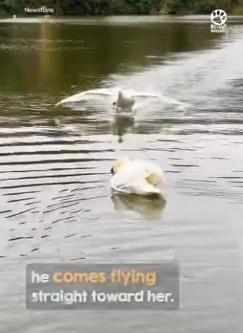 I0202001 moment he sees her, he comes flying through th (Part 2)