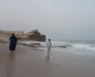 C1002016 Rescue Sea Turtle Trapped under Rock (Part 2)