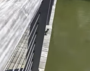 I1002016 Nature is so beautiful (Part 2)