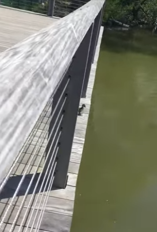 I1002016 Nature is so beautiful (Part 2)