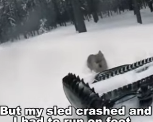 P1602002 Unbelievable ending (Part 2)