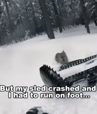 P1602002 Unbelievable ending (Part 2)