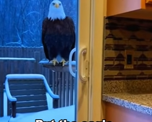 P1602001 Subscribe!! (Part 2)