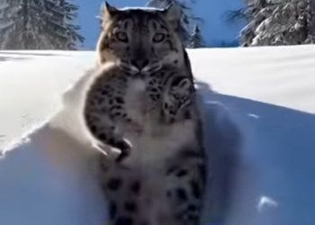 P1602019 A life guarded by empathy (Part 2)