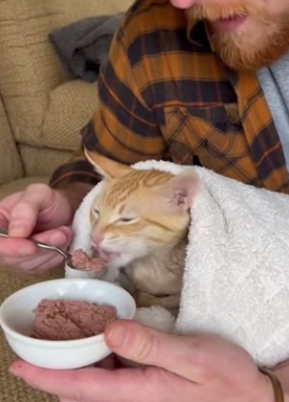 P1602015 I Rescued a Starving Cat… then She Revealed Her Biggest Secret (Part 2)